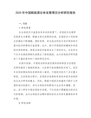 2025年中国新能源总体发展情况分析研究报告