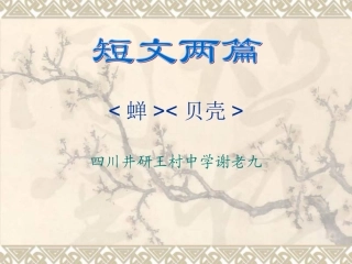 七年级语文短文两篇《蝉》《贝壳》PPT课件