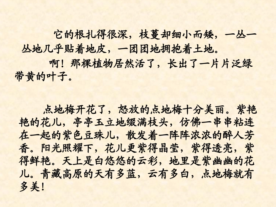烂漫的点地梅_第3页