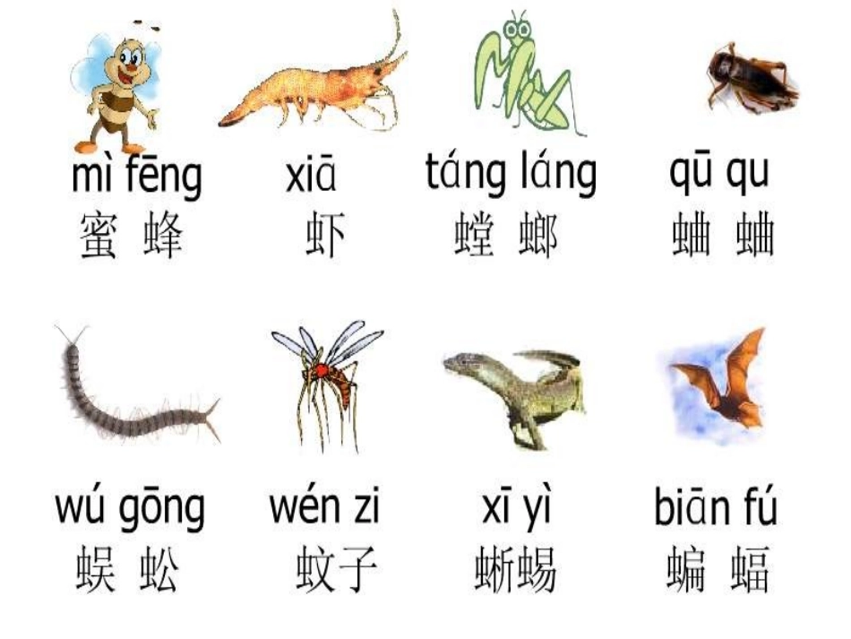 一年级语文下册-识字4-PPT课件_第3页