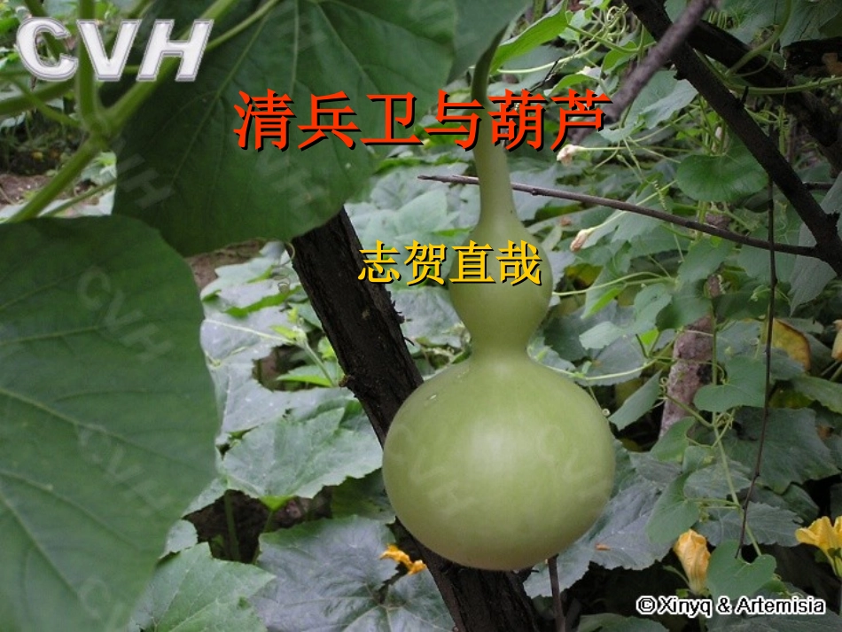 清兵卫与葫芦3_第1页