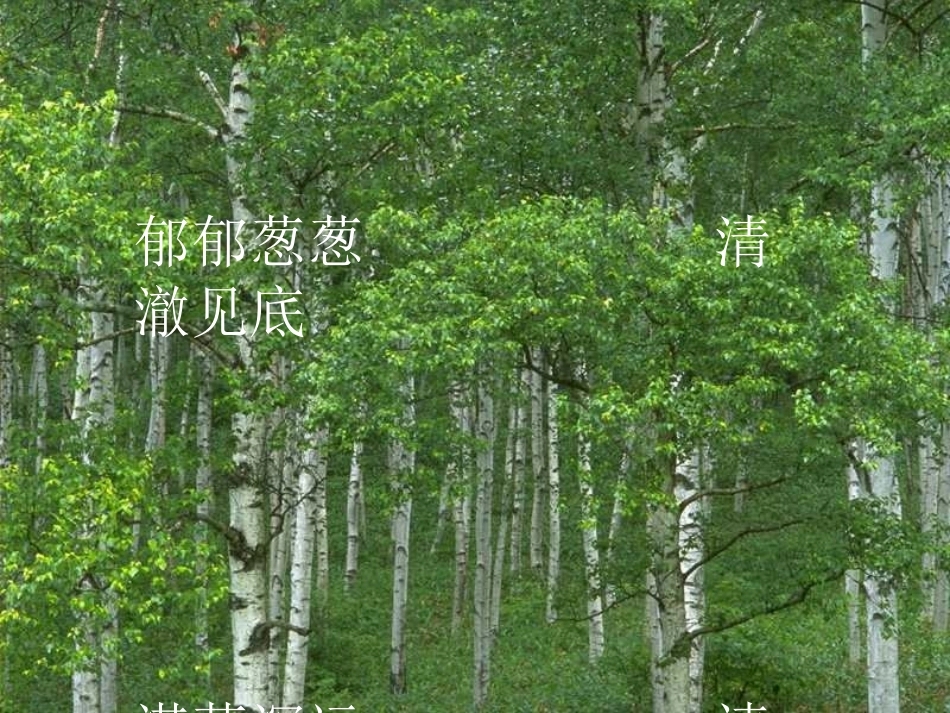 一个小村庄的故事课件 (2)_第3页