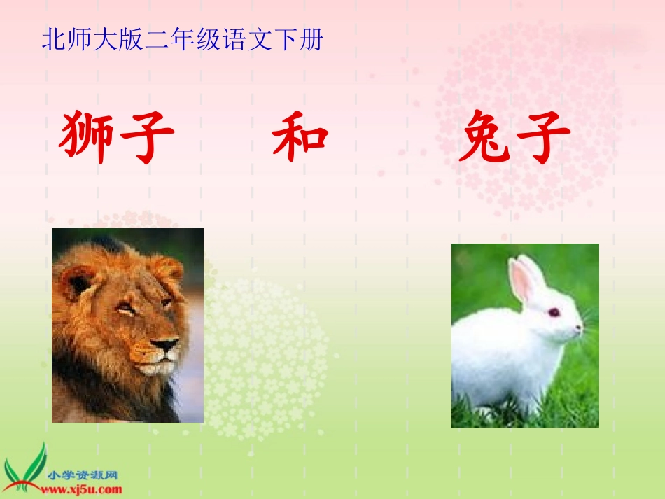 狮子和兔子 (2)_第1页
