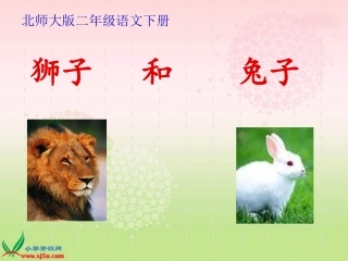 狮子和兔子 (2)