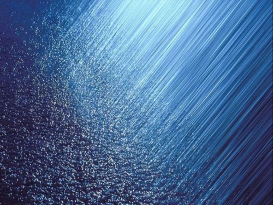 雨综合性学习_第2页