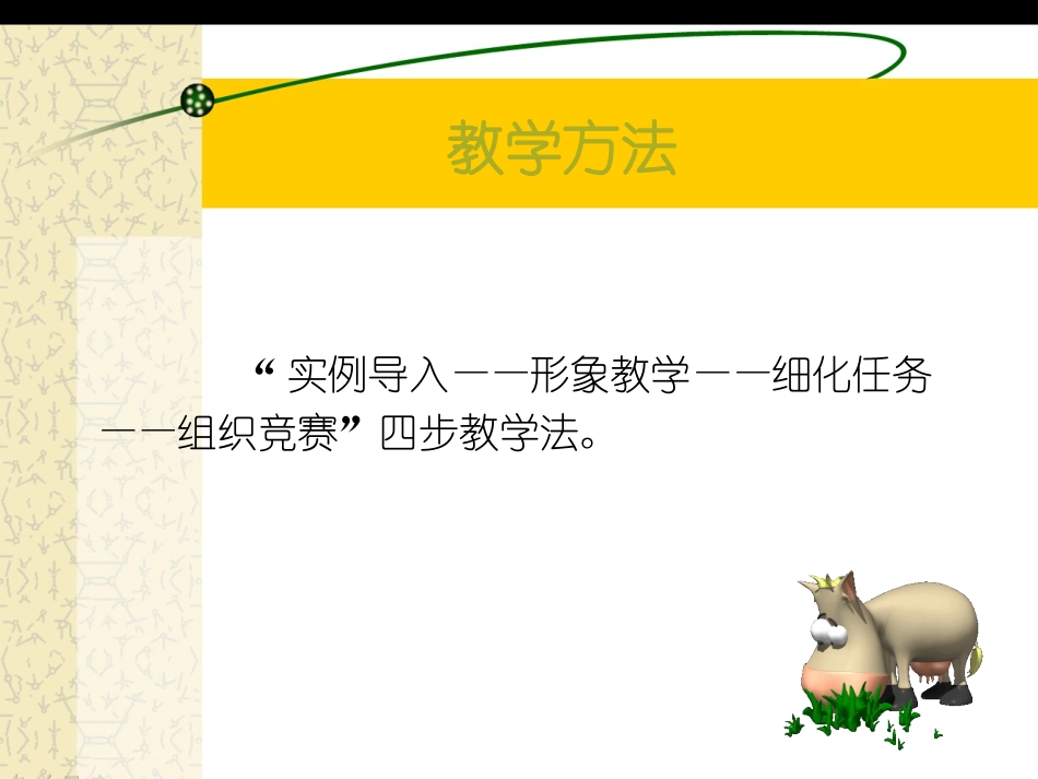 认识可爱的小海龟_第3页