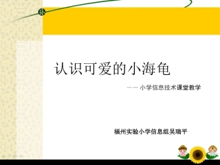 认识可爱的小海龟