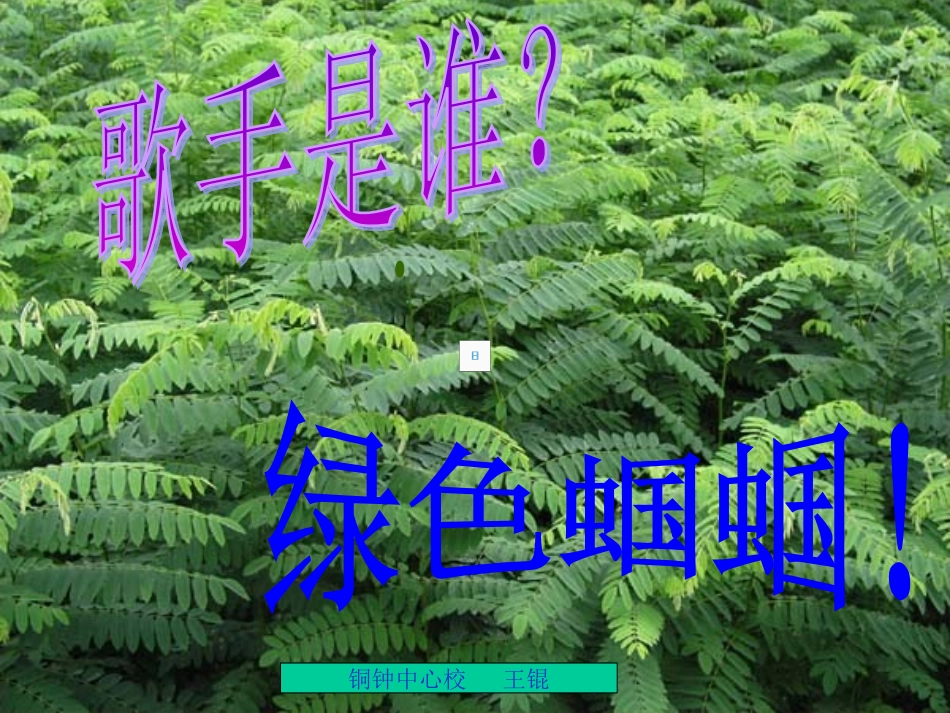 绿色蝈蝈王锟专用_第1页