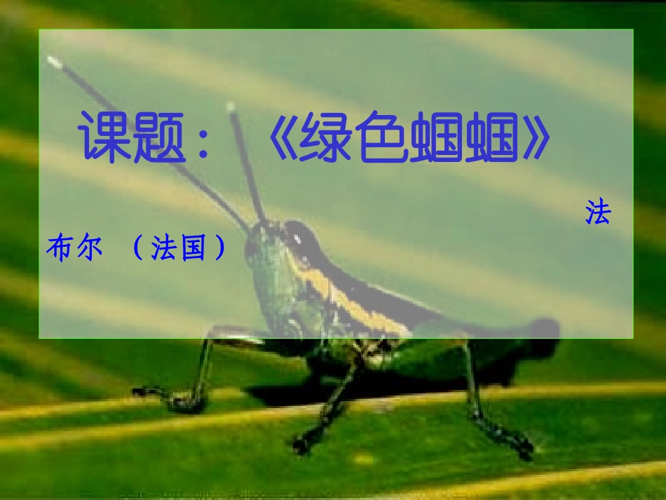 绿色蝈蝈王锟专用_第2页
