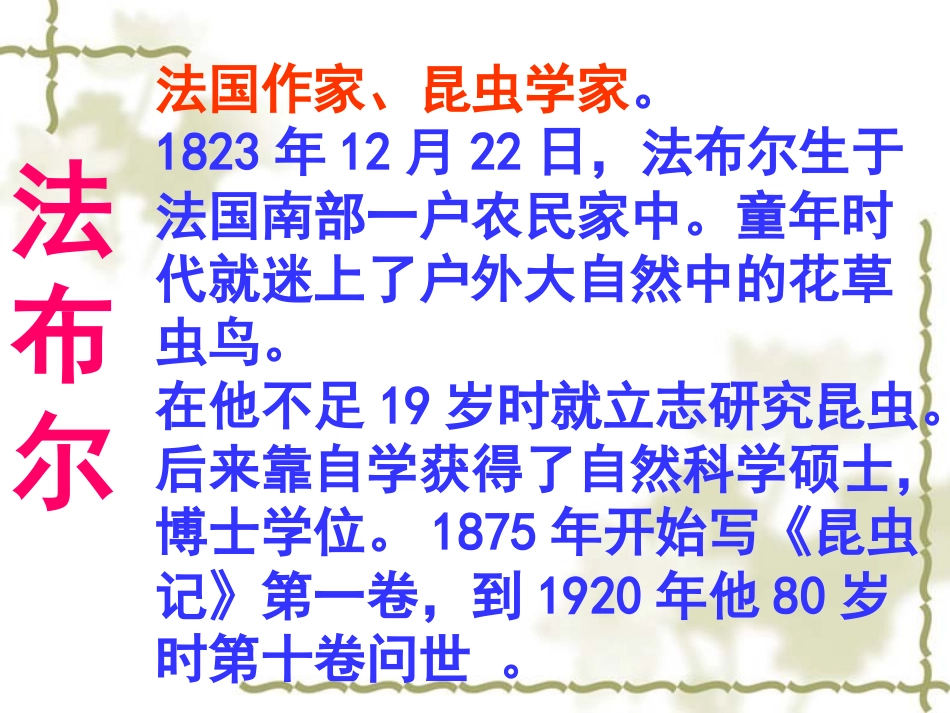 绿色蝈蝈王锟专用_第3页