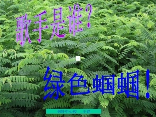 绿色蝈蝈王锟专用