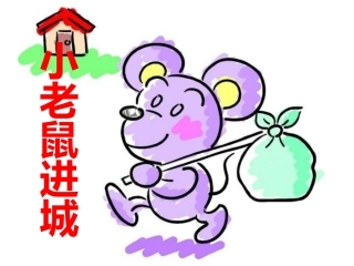 乡下老鼠逛公园