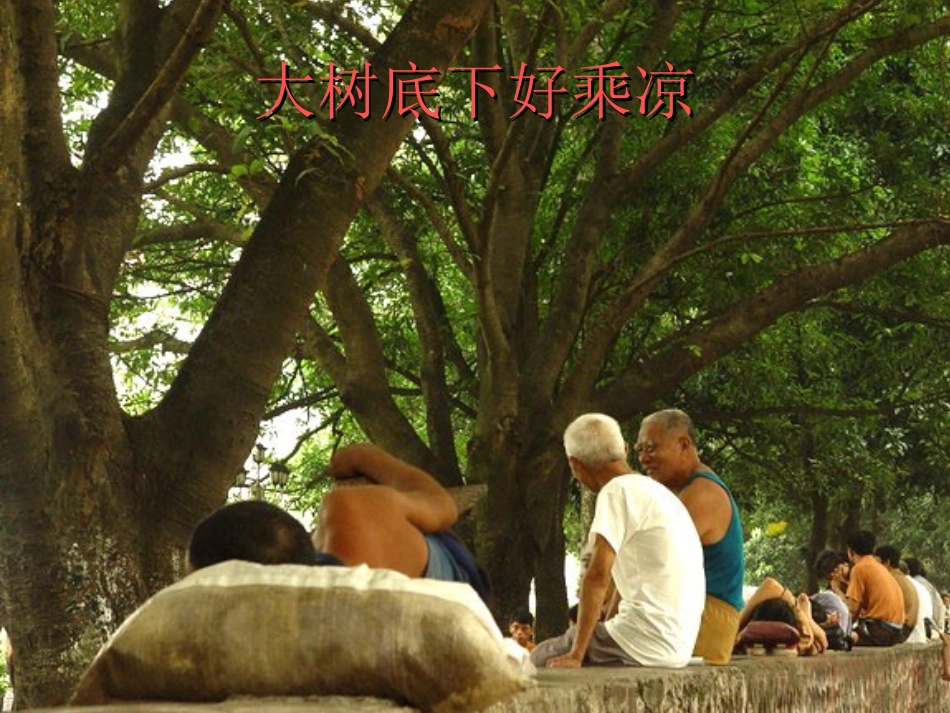 绿色植物的蒸腾作用_第2页