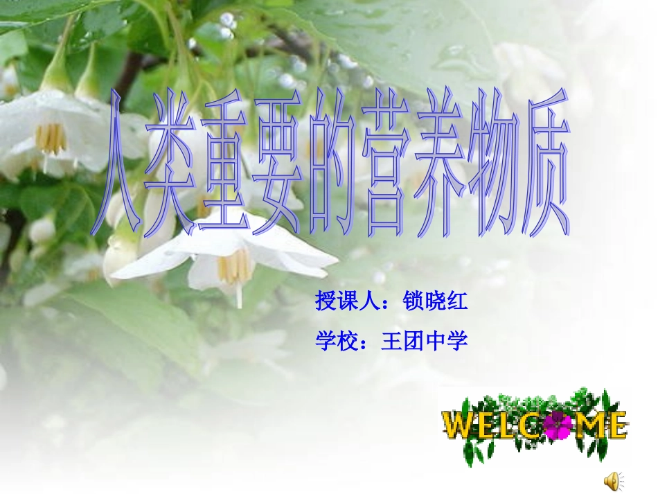 人类重要的营养物质_第1页