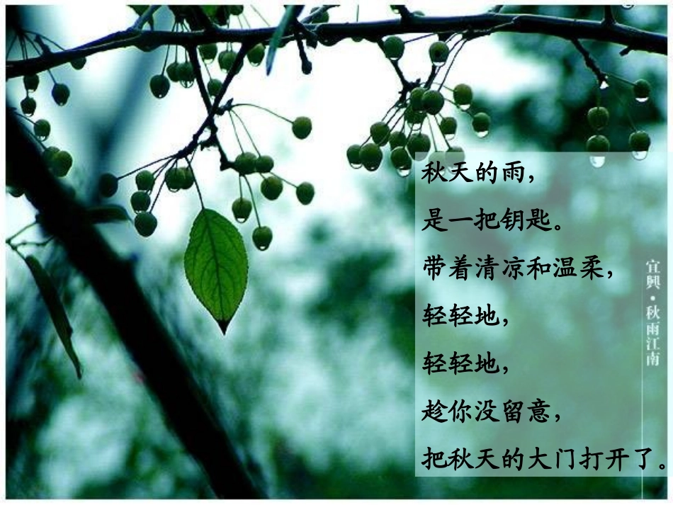 秋天的雨 (2)_第3页