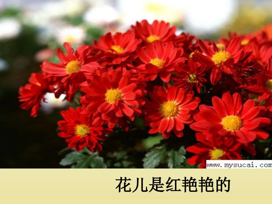 快乐的小青蛙_第2页