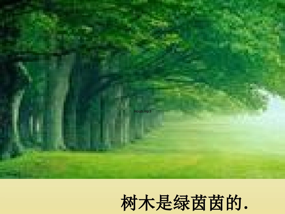 快乐的小青蛙_第3页