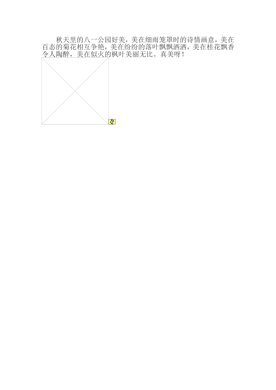 美丽的八一公园_第2页