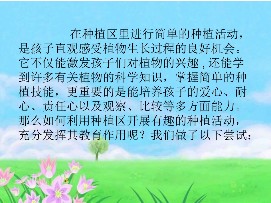 种植区成果展示_第3页