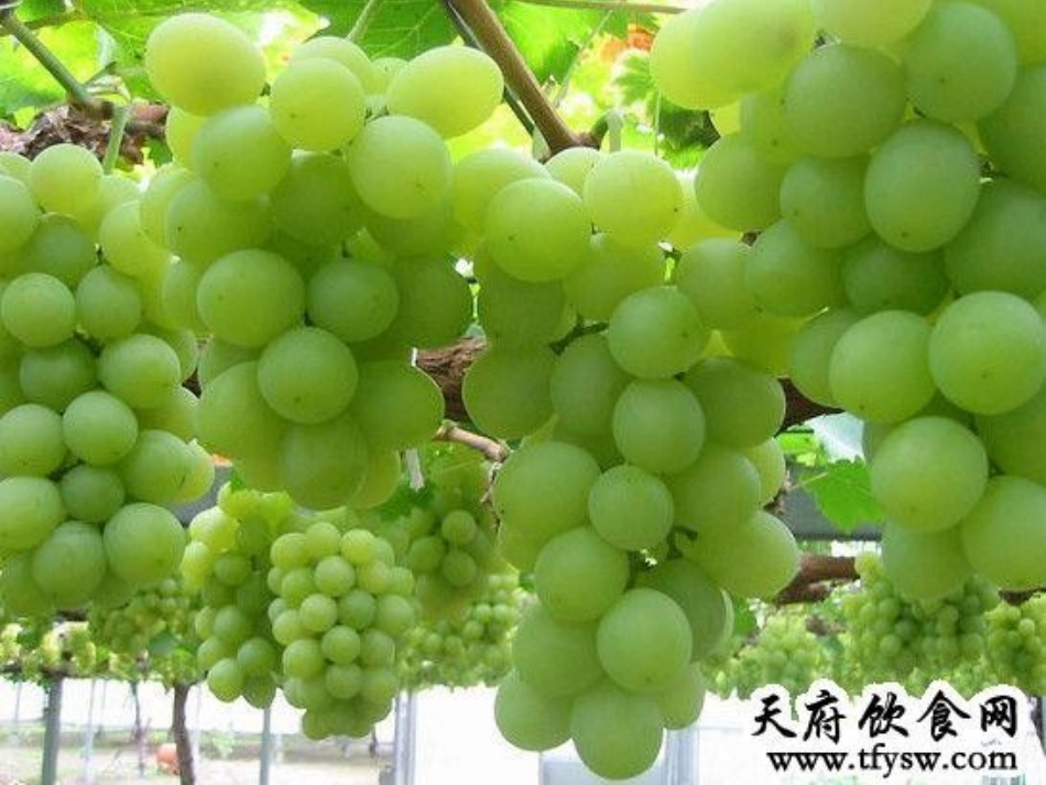 酸的和甜的1_第2页