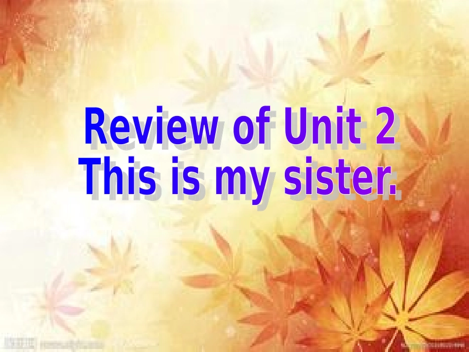 七年级上Unit2复习_第1页