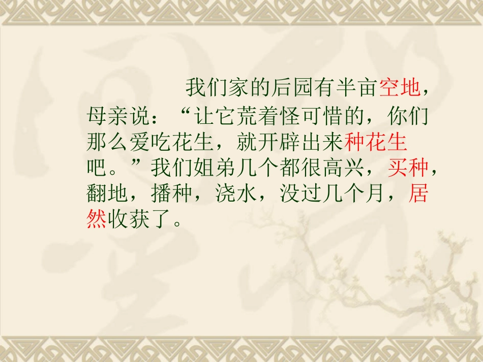 人教版公开课《落花生》课件4_第3页