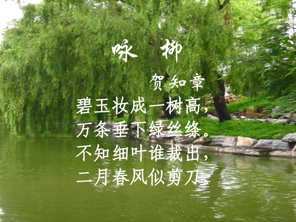 七年级语文下册《柳叶儿》优秀实用课件 苏教版_第2页