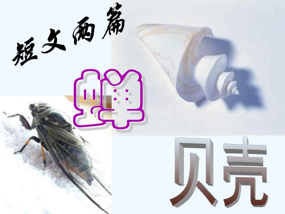 七年级语文上册 《短文两篇》(蝉,贝壳) 课件 人教新课标版_第1页