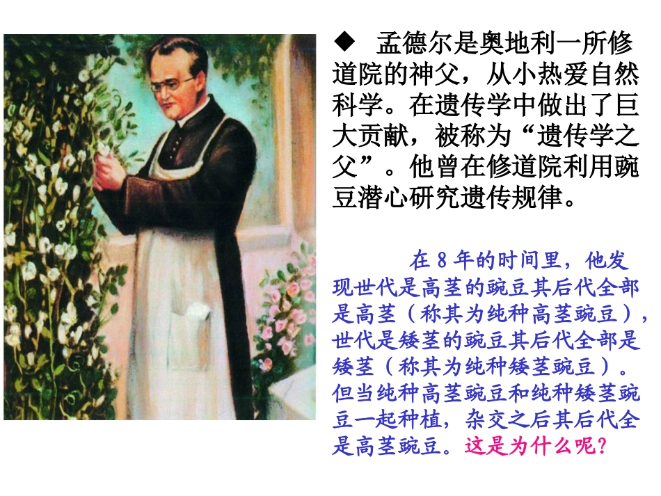 生物的遗传3_第3页