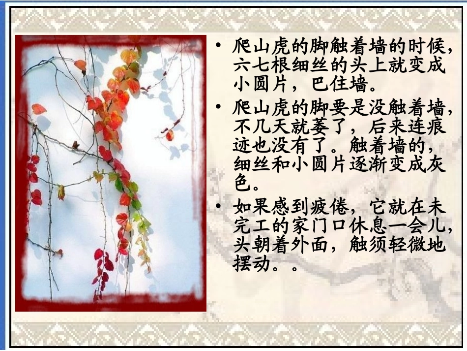 四年级上园地二_第2页