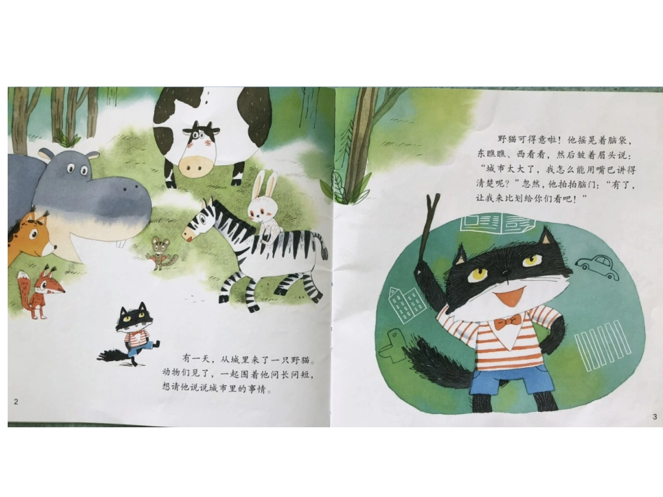 野猫里的城市_第2页