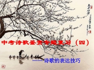 诗歌鉴赏表达技巧4