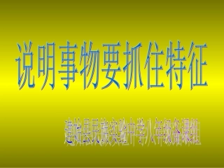 说明要抓住特征