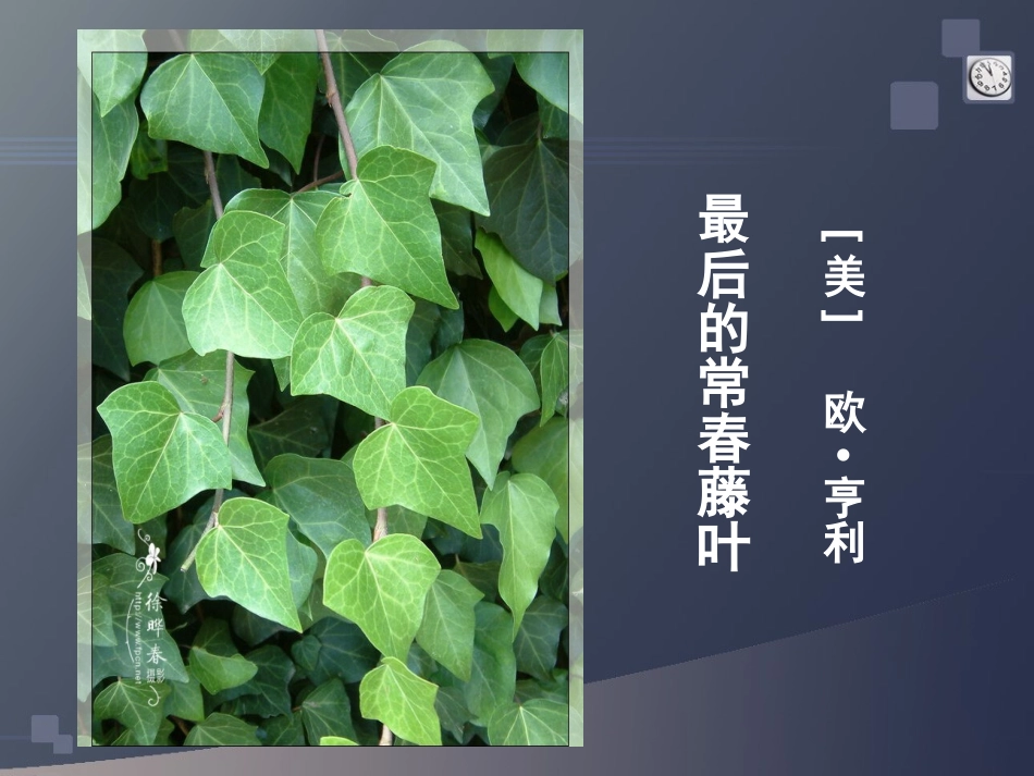 最后的长春藤叶_第1页