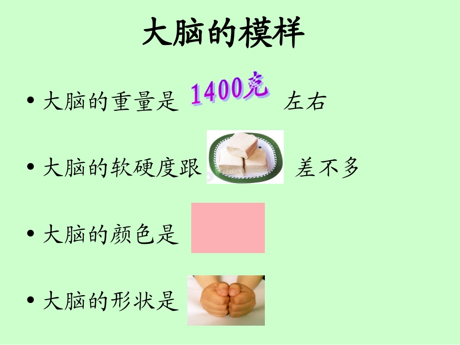 苏教版五年级科学《大脑》课件PPT_第3页