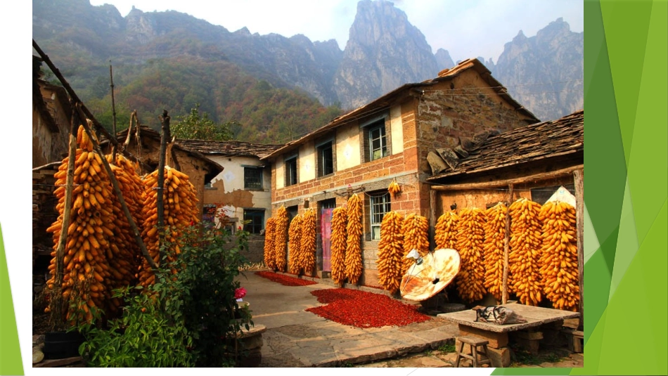 课件：收获的季节_第2页