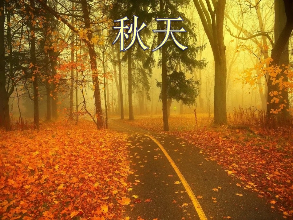 中班综合：秋天的画报_第2页
