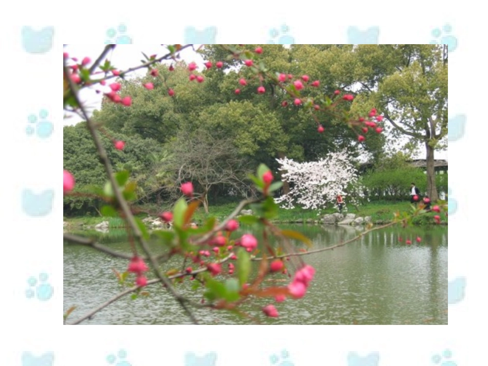 三年级上册语文——21古诗两首_第3页