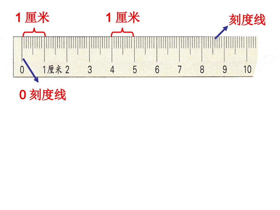 认识厘米 (3)_第2页
