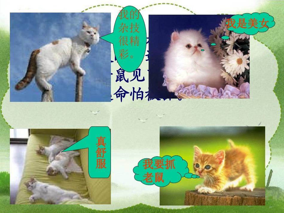 张娟讲课课件_第2页