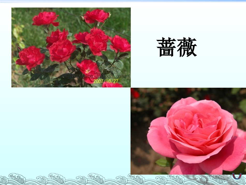 三年级上语文课件-花钟-人教新课标版_第2页