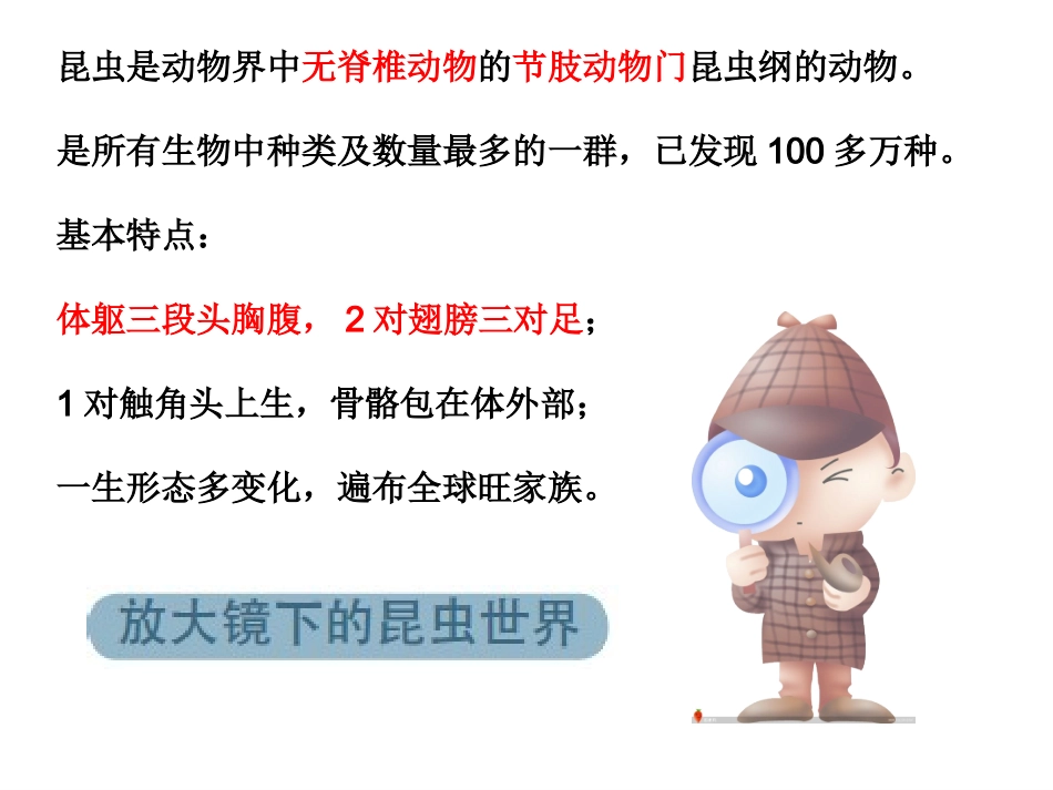 六下一2放大镜下的昆虫世界_第3页