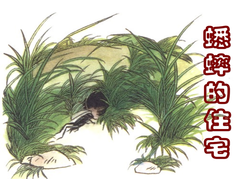 蟋蟀的住宅-PPT课件_第2页