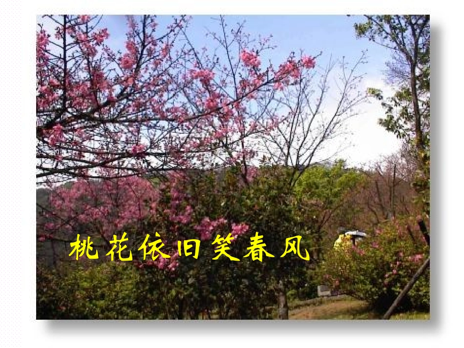 徐占梅《春》课件_第3页