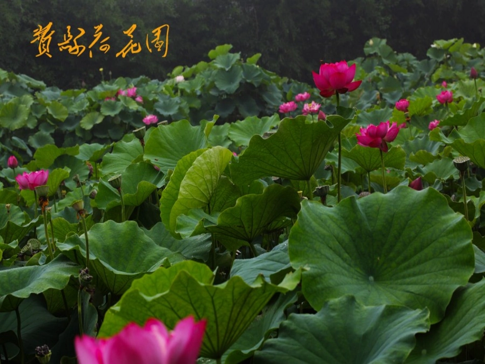 王冕学画[1]_第2页