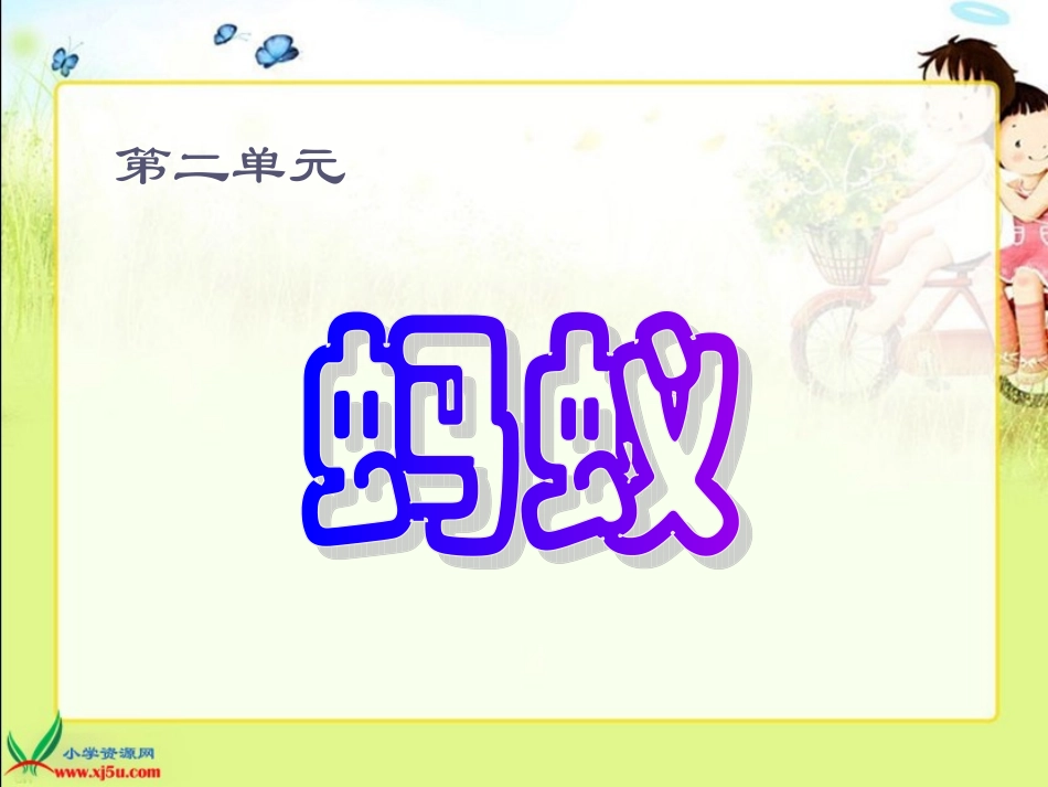 三年级科学上册课件_蚂蚁_第1页