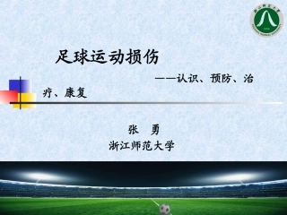 足球运动损伤