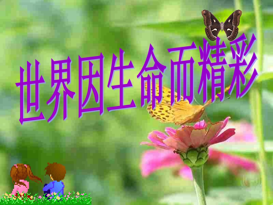 世界因生命而精彩课件_第1页