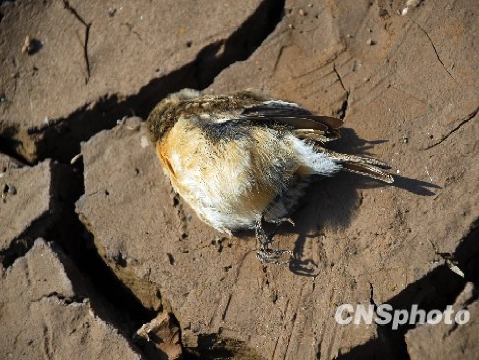 三节主题班会PPT_第2页