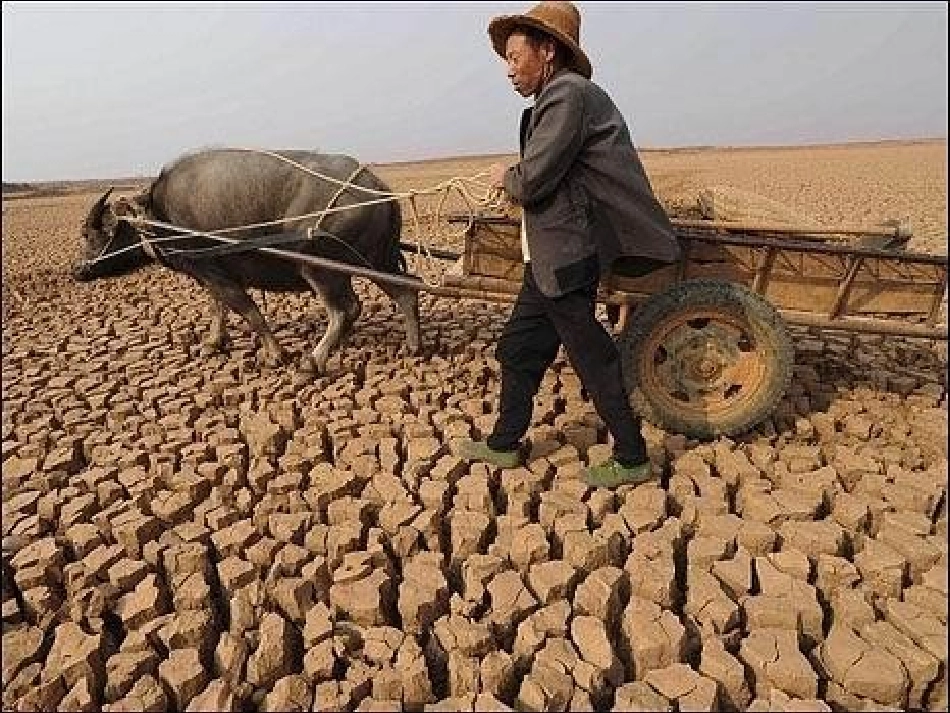 三节主题班会PPT_第3页